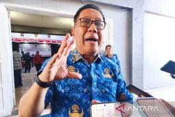 Silwanus Sumule: Pemda masifkan sosialisasi efisiensi dana desa