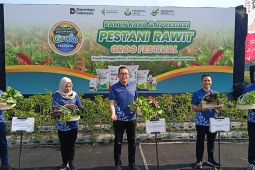 Petrokimia kenalkan pertanian berteknologi lewat Pestani Rawit Groo