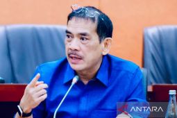 Legislator dukung pemerintah  perkuat tata kelola BUMN