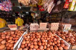 Harga bahan pangan di Kota Pontianak relatif stabil saat kemarau