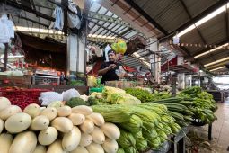 Kemarau di Pontianak mulai tekan produksi dan harga sayuran