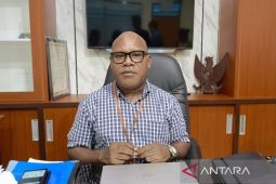 YPMAK siapkan pengembangan kopi di Pegunungan Mimika