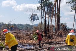 Dinas Kehutanan Kaltim optimalkan posko siaga untuk antisipasi karhutla