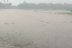 Hujan deras, puluhan hektare lahan pertanian di Simeulue terendam banjir