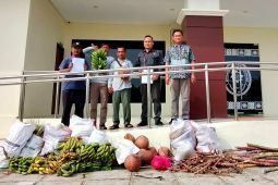 Petani Mukomuko serahkan hasil bumi ke PN bayar putusan perkara lahan