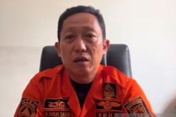 BPBD Bangka Tengah catat 81 kejadian karhutla