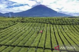 Ratusan pendaki bakal rayakan HUT ke-81 RI di puncak Gunung Kerinci