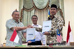 Dirut Bulog sebut ekspor beras premium ke Malaysia hadiah HUT Ke-81 RI