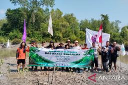 AJI Pangkalpinang-Yayasan Kelekak Hijau Lestari tanam ratusan bibit pohon mangrove