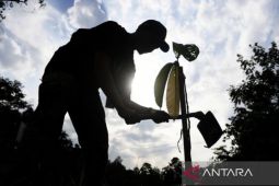 IKN catat rekor penanaman pohon di taman kota terbanyak