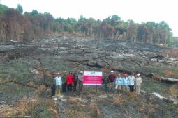 Kemenhut periksa kesiapan empat perusahaan cegah karhutla di Kalimantan Barat
