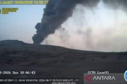 Badan Geologi: 8 kali letusan-semburan lava pijar Gunung Anak Krakatau