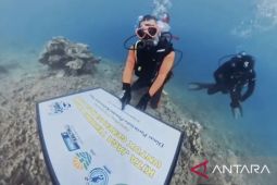 Dispar Kaltim gandeng komunitas lestarikan karang Pulau Miang