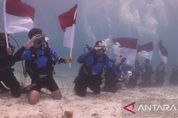 Komunitas penyelam kibarkan Merah Putih di bawah laut Maratua