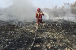 Upaya penanganan karhutla di Muaro Jambi