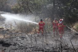 Kemenhut teruskan pendinginan dan penyisiran area bekas karhutla Bromo