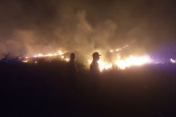 El Nino picu risiko panas ekstrem