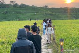 Pemkab Majalengka mencatat surplus beras 122.421 ton sampai Juli 2026
