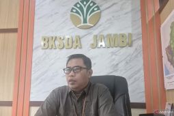 BKSDA Jambi tingkatkan patroli cegah karhutla di koridor gajah