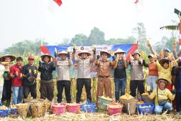 Polres-Bengkayang panen 5 ton jagung dari lahan Eks-PETI