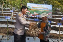 Polres Tasikmalaya menyalurkan benih untuk dukung penanaman bawang putih