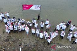 Pemkab Bekasi tanam 1.500 bibit pohon bakau upaya tekan abrasi pesisir utara