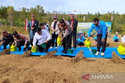 Polda Sumut siapkan 6,16 hektare  sebagai upaya swasembada bawang putih