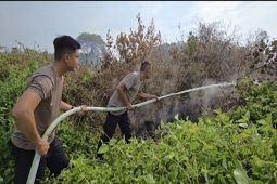 Polairud Banjarmasin respon cepat cegah karhutla Pulau Bromo meluas