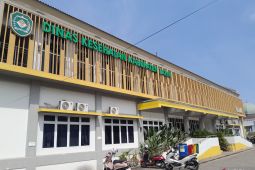 Dinkes Tapin pastikan layanan kesehatan siaga hadapi karhutla