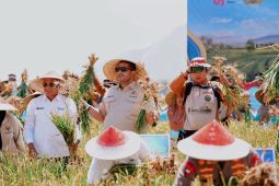 Anggota DPR: kolaborasi Polri-petani wujudkan swasembada bawang putih