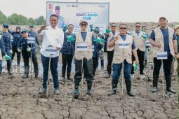 BSI bantu pemulihan pesisir Aceh Tamiang lewat penanaman 15 ribu mangrove