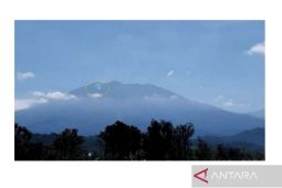 Mount Raung smoke plume caused by land fire, not eruption: agency