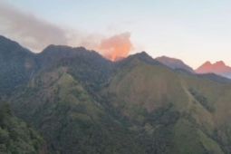 UPT Tahura Raden Soerjo masif padamkan kebakaran Gunung Arjuno