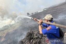Dinsos Kalsel perkuat penanganan karhutla guna atasi dampak sosial