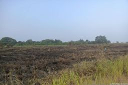 PT WKS kerahkan tim darat dan helikopter padamkan dengan cepat karhutla di Muaro Jambi
