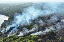 Tim gabungan padamkan kebakaran lahan 10,65 hektare di Penajam