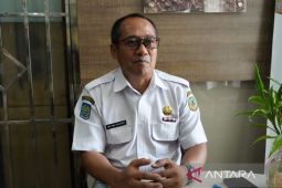Penerima pupuk subsudi di Mimika sebanyak 2.591 petani