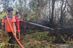 BMKG deteksi ada 33 titik panas di Kalimantan Utara