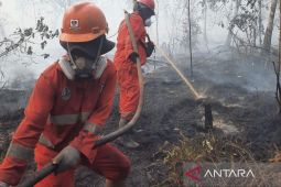 Pemerintah kerahkan 12.880 personel gabungan atasi karhutla