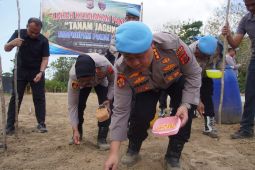 Polda Maluku tanam jagung seluas dua hektare di Buru