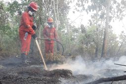 Puluhan helikopter disebar untuk atasi karhutla Sumatera-Kalimantan