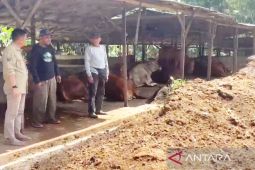 ULM dorong BUMDes manfaatkan limbah peternakan jadi produk bernilai ekonomi