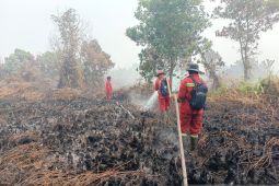 12.800 perseonil berjibaku selama 48 hari atasi Karhutla Kalimantan