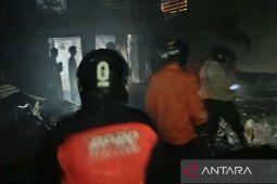 Amukan jago merah tewaskan seorang warga  di Paccerakkang Makassar