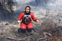 Satwa semakin terancam akibat karhutla di Kalbar