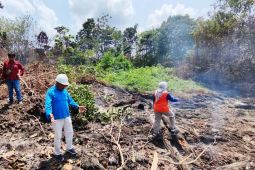 Tim gabungan kembali tangani karhutla 10,65 hektare di Penajam