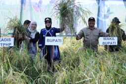 Pemkab Berau tarik minat generasi muda ke pertanian