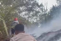 Pemkab Mahulu perkuat kolaborasi lindungi hutan lestari