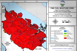 Terdeteksi lonjakan 1.104 titik panas di Pulau Sumatera