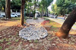 Pembangunan taman hujan jadi solusi resapan air di Taman Wisma Angkasa Jaksel